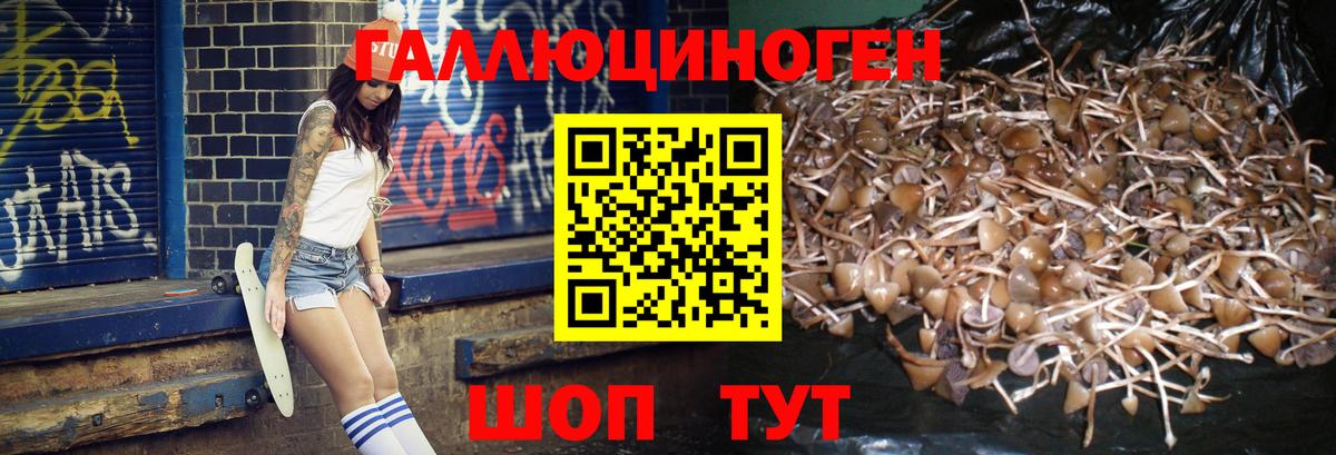 Псилоцибиновые грибы мицелий Белая Калитва